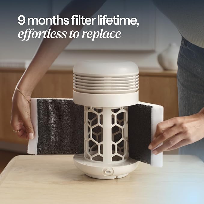 BLUEAIR Air Purifier & Sunrise Alarm Clock - Image 11