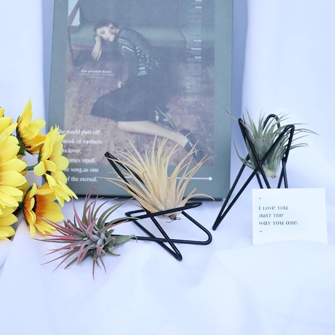 Pack of 4 Air Plant Holder Tillandsia Base, Modern Geometric Metal Air Plant - Image 6