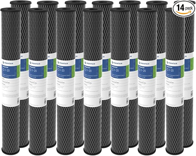 Pentair Pentek C1-20 Dual Purpose Carbon Water Filter, 5 Micron Sediment and by PENTAIRPENTEK