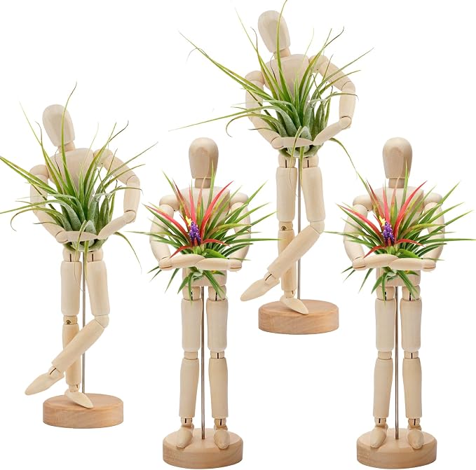 ANPHSIN 4 Pcs 8.6'' Wooden Air Plant Holder by ANPHSIN