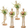 ANPHSIN 4 Pcs 8.6'' Wooden Air Plant Holder by ANPHSIN