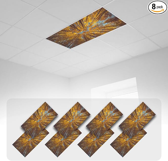 8 Pcs Fluorescent Light Covers by Euphonium