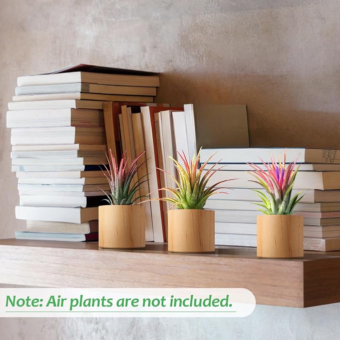 Bigmeta 3 Pcs Wood Air Plant Holder, 1.4" Rustic Style Airplant Display Stands - Image 3