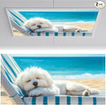 2 Pack Fluorescent Light Covers 4x2 ft Magnetic Light Covers by seewan
