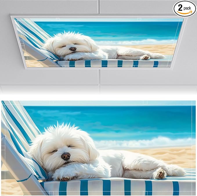 2 Pack Fluorescent Light Covers 4x2 ft Magnetic Light Covers by seewan