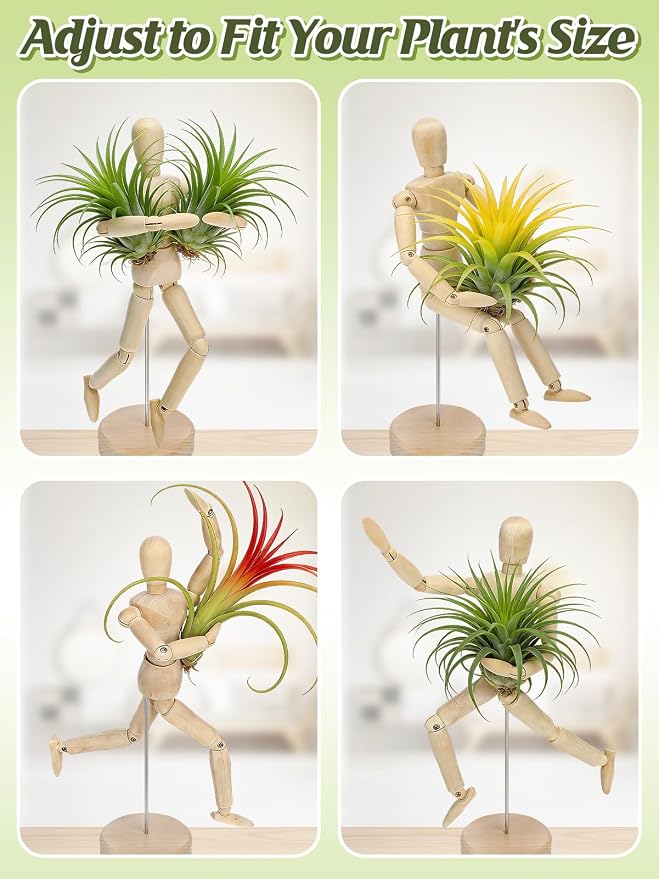 ANPHSIN 4 Pcs 8.6'' Wooden Air Plant Holder - Image 4