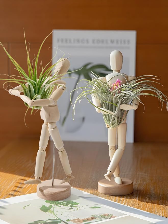 ANPHSIN 4 Pcs 8.6'' Wooden Air Plant Holder - Image 8