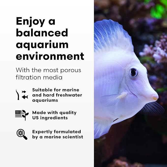Brightwell Aquatics - Image 3