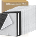 2 Pack PR1 Replacement Filter Compatible by HKNECE