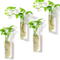 Kingbuy Wall-Mounted Plant Terrarium Propagation Station by Kingbuy