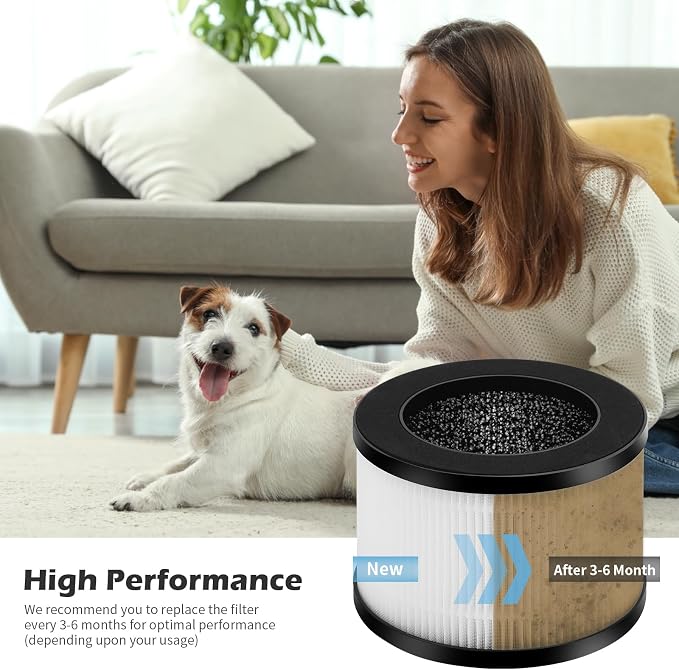 2 Packs BW301 Replacement Filters Compatible - Image 3