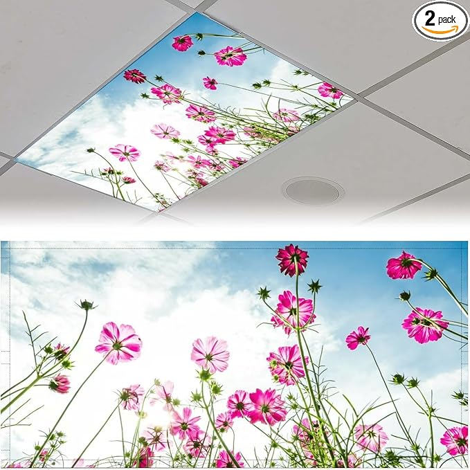 2PCS Fluorescent Light Covers for Classroom Ceiling Lights Magnetic Light Covers by Unknown