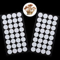 Zonon 64 Pieces Synthetic Filter Paper Stickers 20 mm 0.3 ?m Synthetic Filter by Zonon