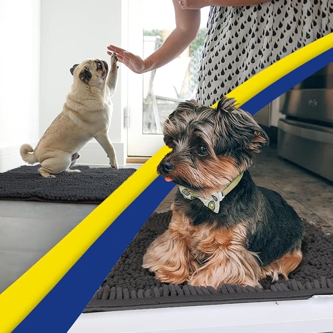 Muddy Mat® | Super Absorbent Door Mat Indoor, Microfiber Quick Dry Chenille Entryway Rug, Non-Slip Front Door Mat, Indoor Mats for Entryway, Machine Washable Pet Rug, Charcoal 36"x60"