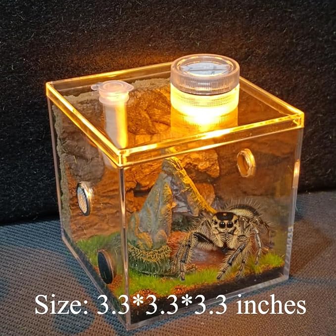 Jumping Spider Habitat LED-Lit Acrylic Enclosure Built-in Scenery Ventilation - Image 2