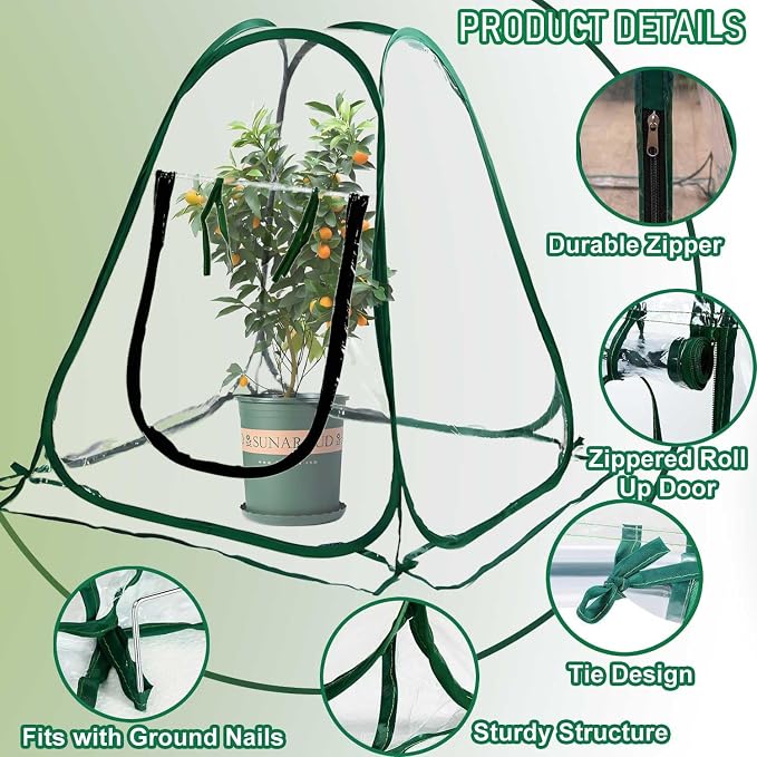 Plant Mini Greenhouse Pop Up Transparent Greenhouse Freeze Protection PVC Plant - Image 2