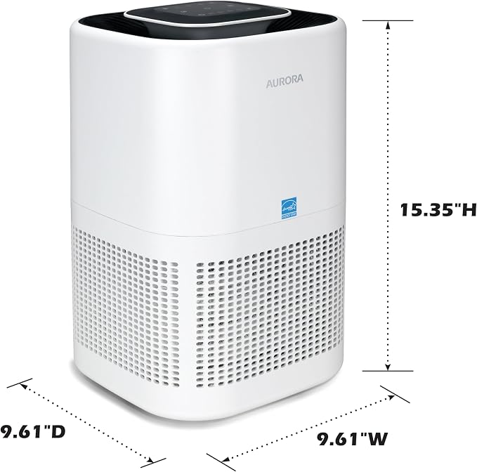 Aurora AR100W Air Purifier for Mold, and Germs - Image 8