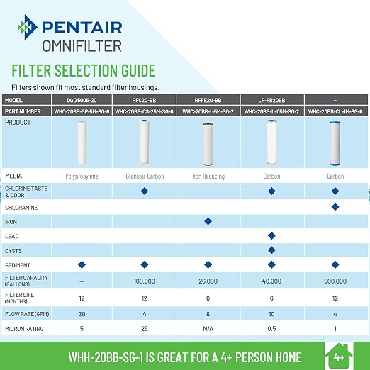 Pentair OMNIFilter Whole Home 20" Heavy-Duty Big Blue Water Filtration System - Image 5