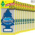 LITTLE TREES Car Air Freshener | Xtra Strength Provides Long-Lasting Scent by LITTLETREES