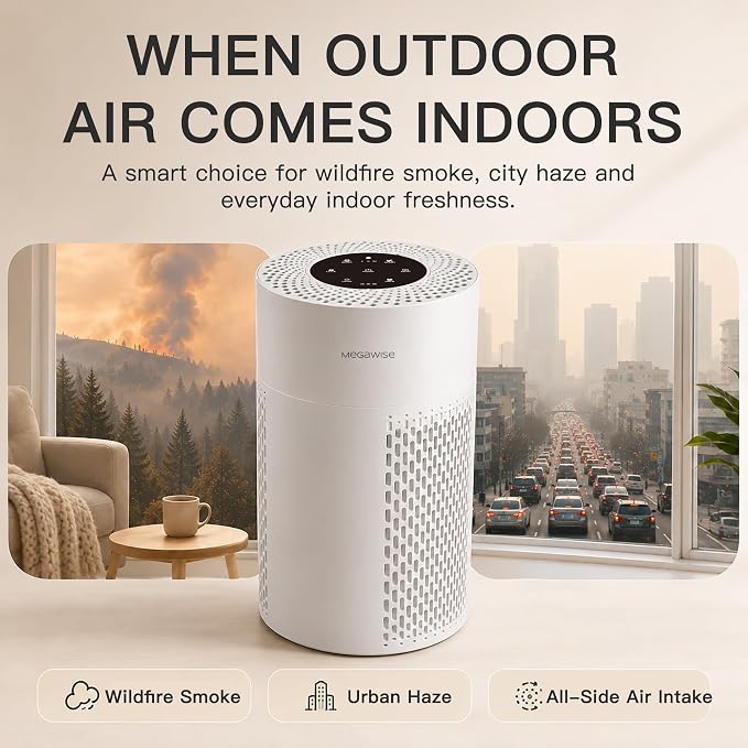 MEGAWISE Updated Version Air Purifier - Image 7