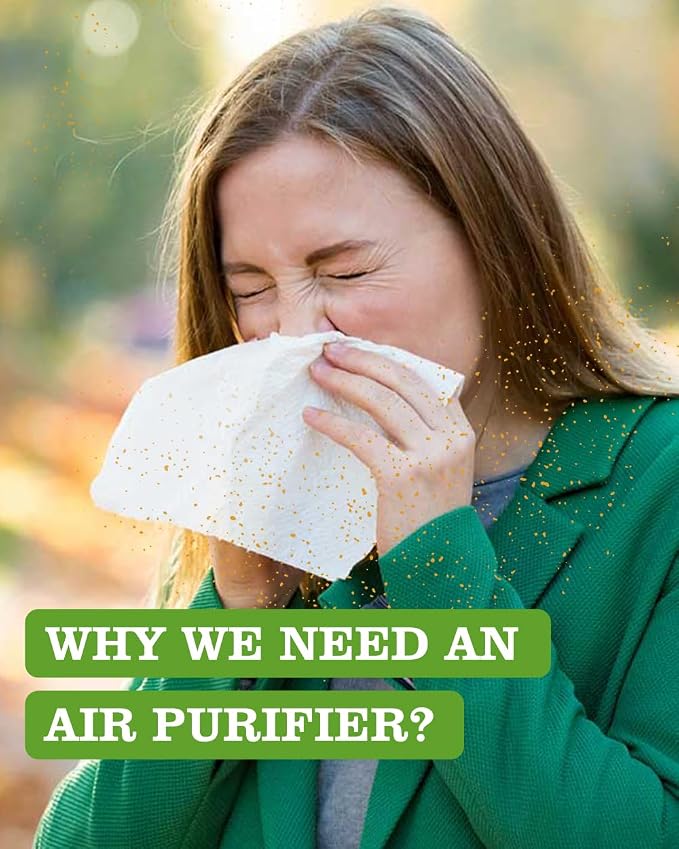 Hepa and Carbon Filter Air Purifier- True Air Purifier - Image 5