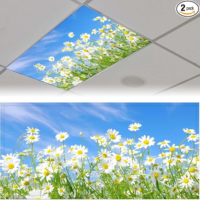 2PCS Fluorescent Light Covers for Classroom Ceiling Lights Magnetic Light Covers by Unknown