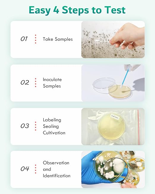 Mold Test Kit for Home - Image 4