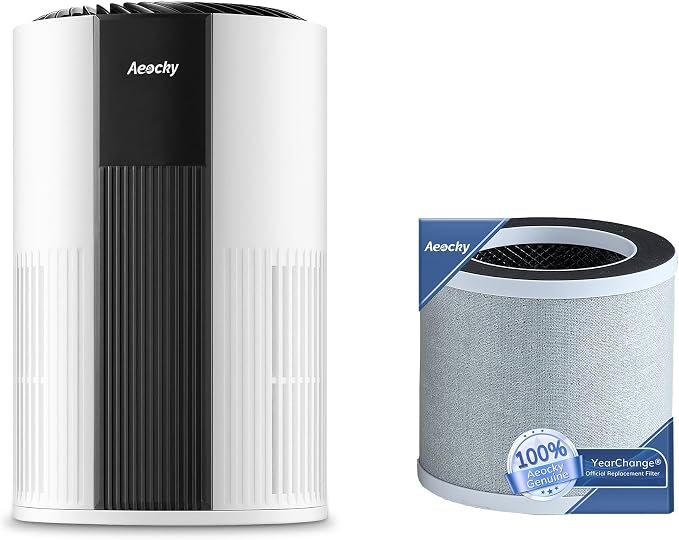 Air Purifier with Extra Filter（One Pre-Instelled Filter and One Extra Filters） by AeockyDirect