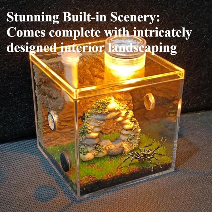 Jumping Spider Habitat LED-Lit Acrylic Enclosure Built-in Scenery Ventilation - Image 4