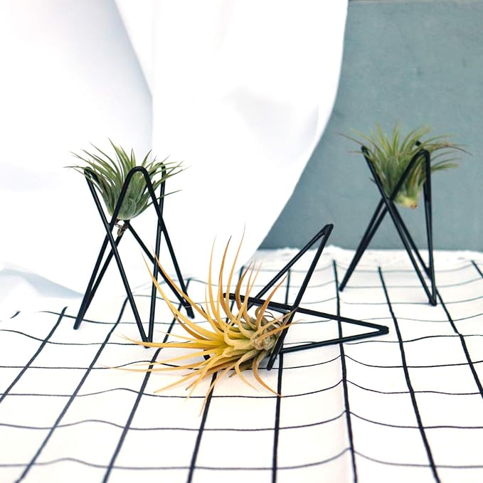 Pack of 4 Air Plant Holder Tillandsia Base, Modern Geometric Metal Air Plant - Image 7