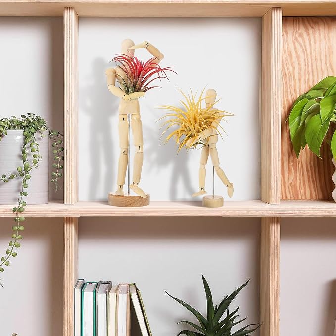 ANPHSIN 2 Sizes Wooden Air Plant Holder - Image 6