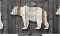 Bear Shadow Animal Portrait Indoor TV Cover, Elastic TV Screen Protector by Unknown
