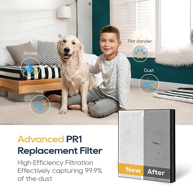 2Pack PR1 Air Filter Replacement Compatible - Image 7