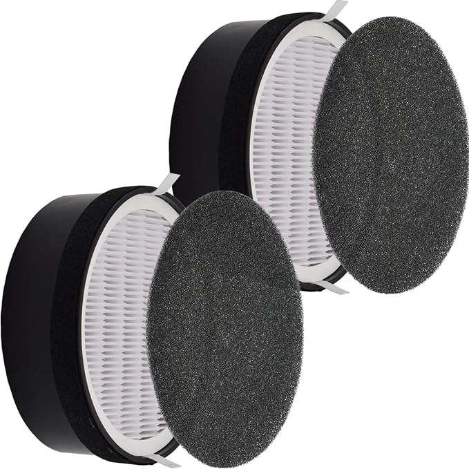 2-Pack LV-H132-RF Air Filters: Replacement by HIHEPA