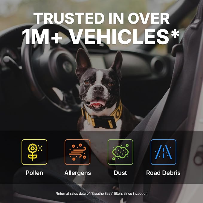Spearhead OEM+ Particulate Breathe Easy Cabin Filter | Fits 02-06 RSX, 02-06 - Image 2
