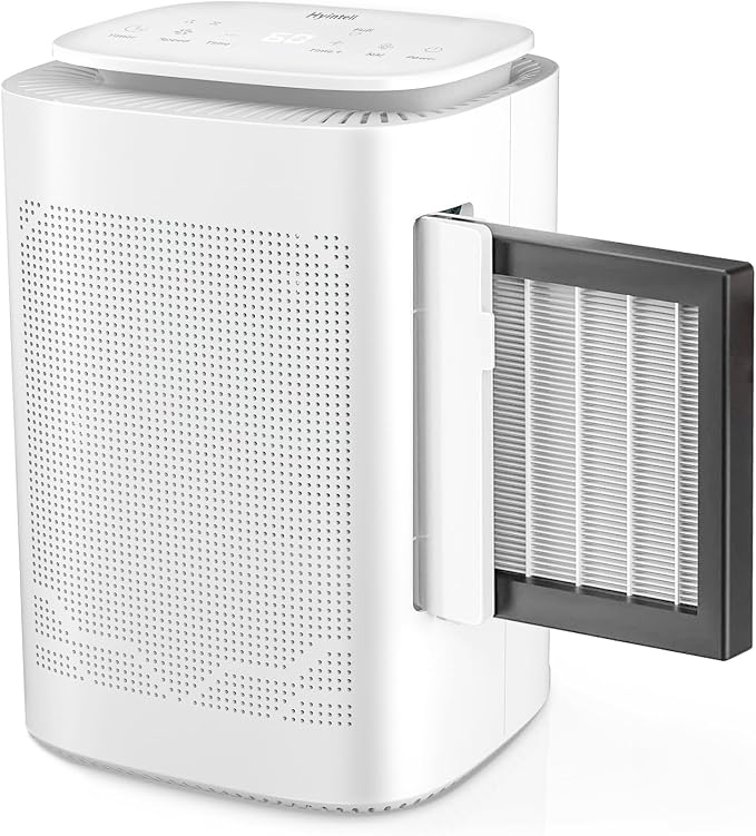 Dehumidifier and Air Purifier Combo HEPA H13 Filter and Negative Air Ion - Image 2