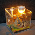 Jumping Spider Habitat LED-Lit Acrylic Enclosure Built-in Scenery Ventilation by Unknown