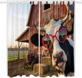 Farm Cows Living Room Curtains 96 Inch Length, Window Curtains Tab Top by Unknown