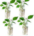 Kingbuy Short Cylinder Wall Planter 4 Pack, air plants, cuttings. Great gift by Kingbuy