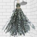 24 PCS Real Dried Eucalyptus Stems by Oning