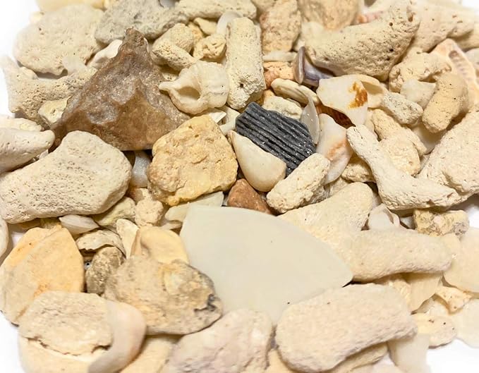 Middle Keys Marine Life LLC Florida Keys Crushed Coral Aquarium Gravel 2.5 LB - Image 3