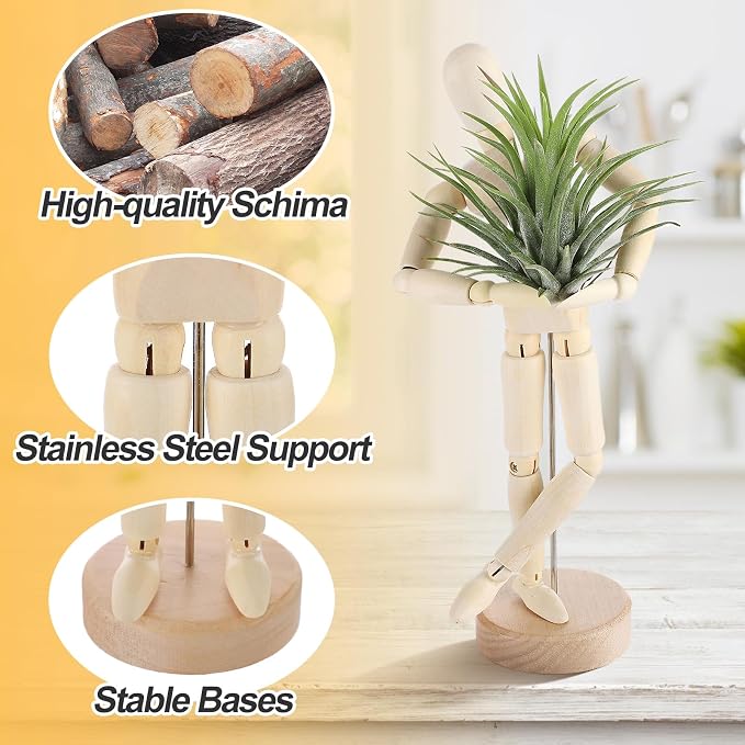 ANPHSIN 2 Sizes Wooden Air Plant Holder - Image 3