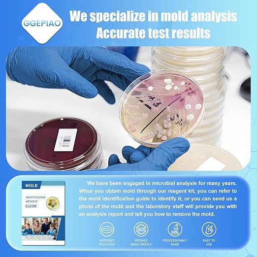 Mold Test Kit for Home, 14 Simple Detection Tests, Test HVAC System, Home - Image 2