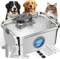 12L Dog Water Fountain, Stainless Steel Pet Water Fountain by FICUSWIN