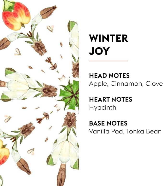 MAISON BERGER Lampe Berger Refill, 1 L, Winter Joy | Catalytic Lamp Fragrance - Image 2