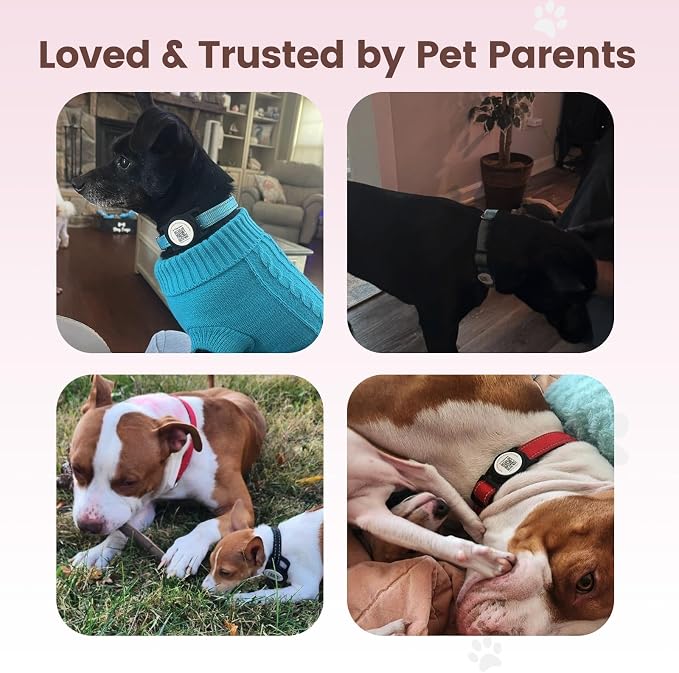 for air tag Dog Collar Holder - Image 8
