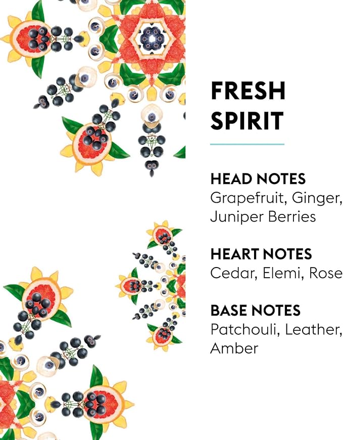 MAISON BERGER Lampe Berger Refill, 500 ml, Fresh Spirit | Catalytic Lamp - Image 2
