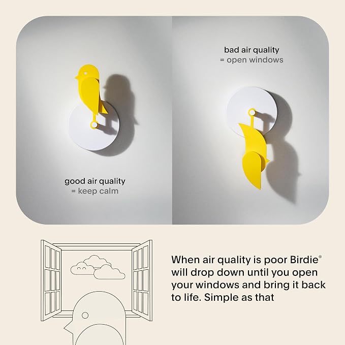 Birdie 2.0 - Design Indoor CO2 Monitor - Air Quality Monitor & CO2 Sensor - Image 3