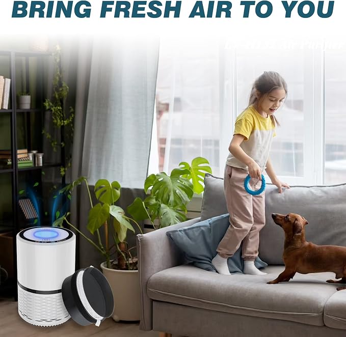 LV-H132 Replacement Filter Compatible - Image 6