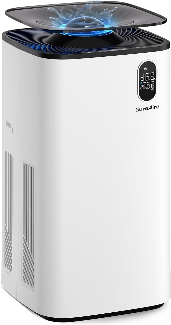 Humidifier and Air Purifier In One by WherePuritymeetsComfort